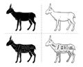 Cut of antelope set. Poster Butcher diagram - Saiga. Vintage typographic hand-drawn. Royalty Free Stock Photo