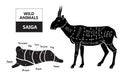 Cut of antelope set. Poster Butcher diagram - Saiga. Vintage typographic hand-drawn. Royalty Free Stock Photo