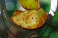 Cut apple with fruit flies on a bird feeder