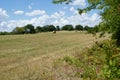 A Cut and Baled Hay Meadow In East Texas Royalty Free Stock Photo