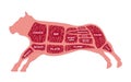 Cut of beef . Butcher diagram Cow