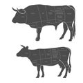 Cut of beef. Butcher diagram.