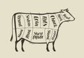 Cut of beef meat. Menu for restaurant or butcher shop. Vector vintage