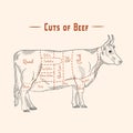 Cut of beef Poster Butcher diagram and scheme - Cow. Vintage typographic hand-drawn. Vector illustration Royalty Free Stock Photo