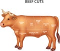 Cut of beef set Royalty Free Stock Photo