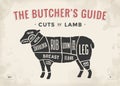 Cut of beef set. Poster Butcher diagram and scheme - Lamb. Vintage typographic hand-drawn. Vector illustration. Royalty Free Stock Photo