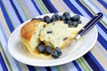 Cut Blueberry Muffin and Blueberries Royalty Free Stock Photo