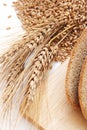 Cut bread and wheat Royalty Free Stock Photo