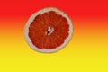cut bright red orange half grapefruit .slice on colorful yellow warm gradient backdrop