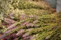 Cut bunch Sage with lilac flowers close-up.