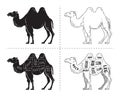 Cut of camel set. Poster Butcher diagram - desert-ship. Vintage typographic hand-drawn. Royalty Free Stock Photo