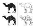 Cut of camel set. Poster Butcher diagram - desert-ship. Vintage typographic hand-drawn. Royalty Free Stock Photo