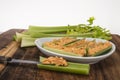 Celery with pimento cheese Royalty Free Stock Photo