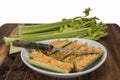 Celery with pimento cheese Royalty Free Stock Photo