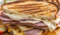 Cut cheese and ham toasted panini melt with grill marks Royalty Free Stock Photo