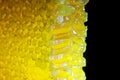 Cut comb honey glows on a black background Royalty Free Stock Photo