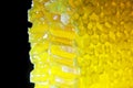 Cut comb honey glows on a black background Royalty Free Stock Photo