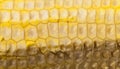 cut corn cob Royalty Free Stock Photo