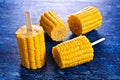 Cut corn on the cob on a stick Royalty Free Stock Photo