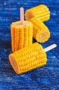 Cut corn on the cob on a stick Royalty Free Stock Photo