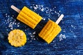 Cut corn on the cob on a stick Royalty Free Stock Photo