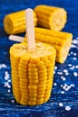 Cut corn on the cob on a stick Royalty Free Stock Photo