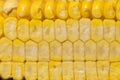 cut corncobs corn slice grain