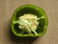 Cut detail of green Bell pepper