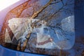 Cut dog puppy left alone in locked car