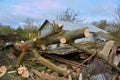 Trees felled after a hurricane,cut down a fallen tree after a storm Royalty Free Stock Photo