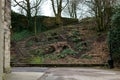 Cut Down Trees in Haigh Country Park