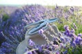 Cut dry lavender inflorescences and a garden pruner. Beautiful hat. Summer