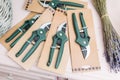 Cut dry lavender inflorescences and a garden pruner. Florist tool kit, pruner, scissors