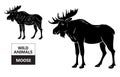 Cut of elk set. Poster Butcher diagram - desert-ship. Vintage typographic hand-drawn. Royalty Free Stock Photo