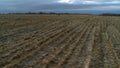 Cut field landscape aerial shot.