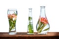 Cut flowers and tropical plants in a glass of water on a barn wood table on white background Royalty Free Stock Photo