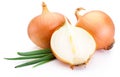 Cut fresh bulbs of onion on white background Royalty Free Stock Photo