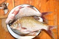 Cut fresh river fish with a knife