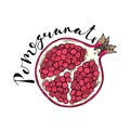 The cut fruit of pomegranate on a white background with the word Pomegranate.