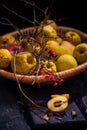 Cut fruit quince apples ready tincture