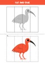 Cut and glue game for kids. Cute cartoon scarlet ibis.
