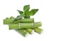 Cut green bamboo stems and leaves on white background Royalty Free Stock Photo
