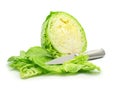 Cut of green cabbage vegetable isolated