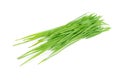 Cut green grass. Royalty Free Stock Photo