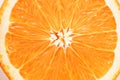 Fresh orange slices - Free Stock Image