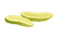 Cut in Half Pickled Cucumber or Gherkin with Salted Taste Served as Snack Vector Illustration