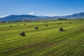 Cut Hay in American Farm Field Royalty Free Stock Photo