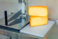 Cut head of cheese on an industrial cutter in a cheese factory.