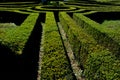 Cut hedges into various geometric shapes. Strictly cut evergreen parterres and bosquettes are part of every historic Baroque Frenc