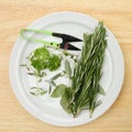 Cut herbs on a plate Royalty Free Stock Photo